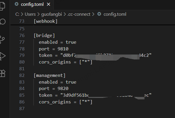 cc-connect API 令牌配置